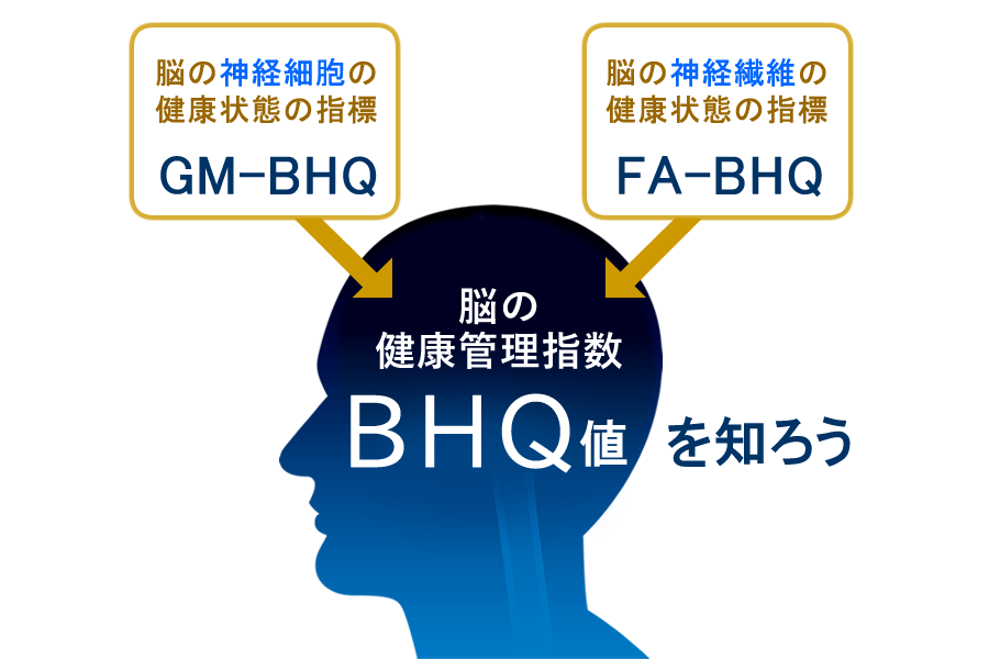 脳の健康検査BHQ脳ドック